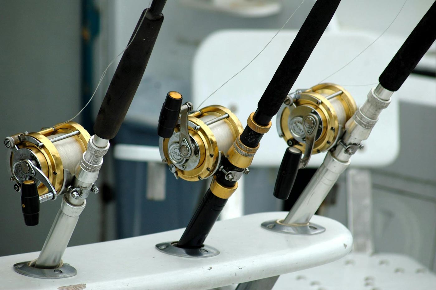 Reels